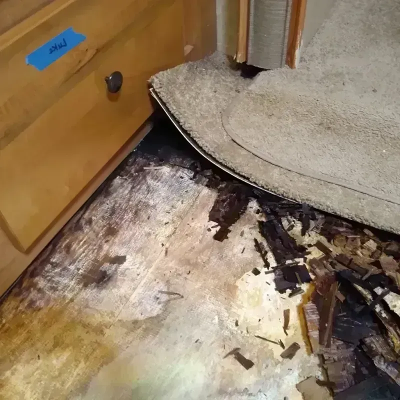 Wood Floor Water Damage in Hillsdale County, MI